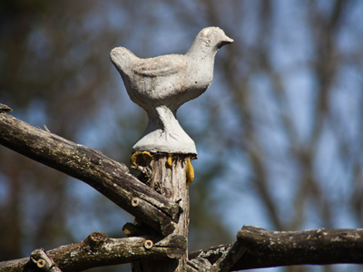 March comes in like a lion and goes out like a bird.