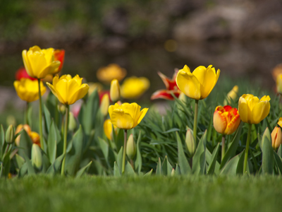 Some people prefer summer or fall.  Others say that winter is their favorite season.  WHAT IS THEIR PROBLEM?