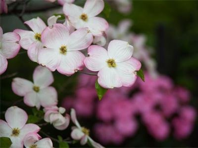 I noticed this color combination yesterday driving by in my car.  I walked to it today.