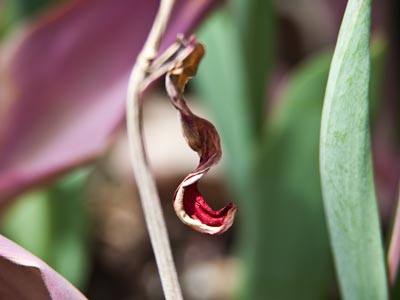 Hanging around campus.