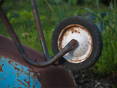 Others work in the garden, I just enjoy the result.