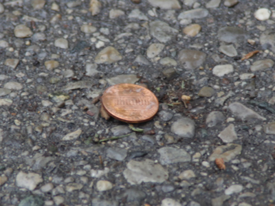 Every time it rains, it rains pennies from heaven.  Don`t you know each cloud contains pennies from heaven?