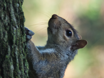 Neither of us shaved our whiskers today.