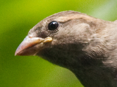 I`m following his tweets.