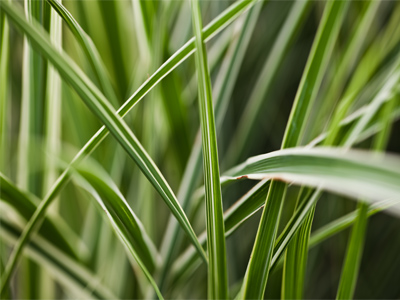 Today is the birthday of two of my friends.  It`s also Flag Day.  What else can I say while you look at this picture?