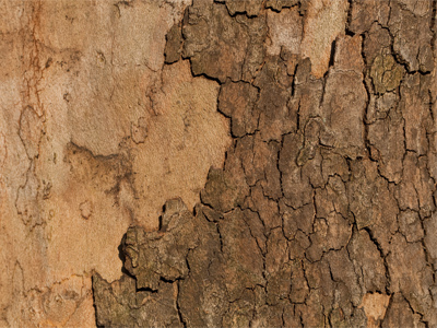 Wow, my skin could really use some moisturizer.