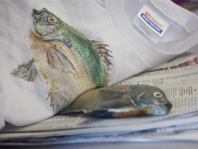 Finally, remove the fabric to reveal the printed image.