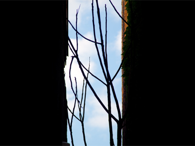 Struggling for life in an alley.