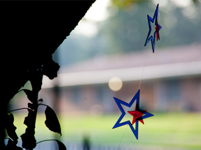 More holiday remnants.