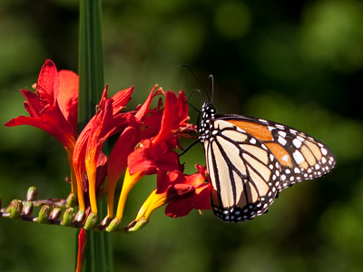 I don`t often speak to inanimate objects, but I apologized to my camera as I cleaned off yesterday`s mud.