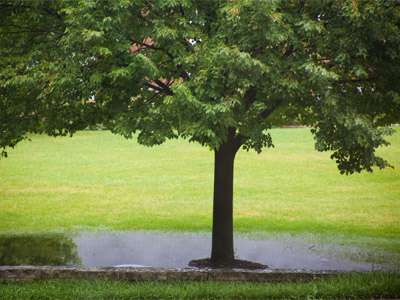 A `flood watch` means conditions are favorable for you to stand around and watch it flood.