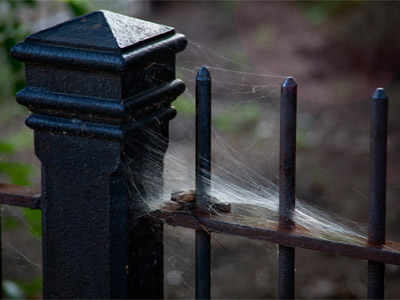 I dunno, looks like a trap to me.