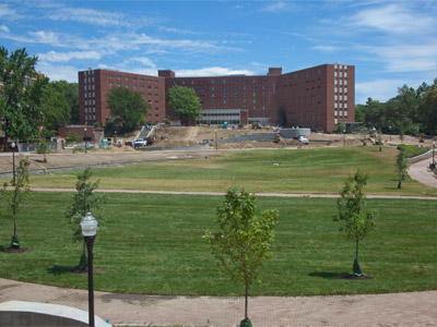 There was no grass here a few days ago (see June 15, 2010).