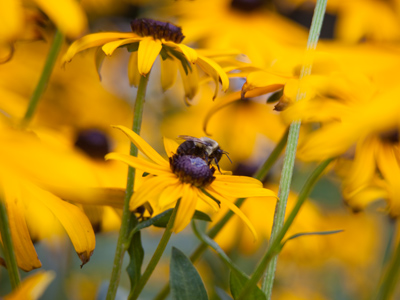 For photographers out there:  how high off the ground is the camera?