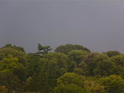 Heat, haze, a bit of lightning . . . that`s about it for today.