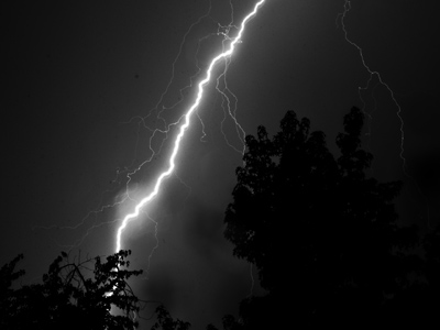 This was one of the small ones.