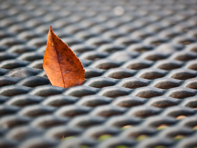 On a walk through the playground.