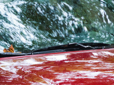 I eventually took it outside, although it was very rainy.