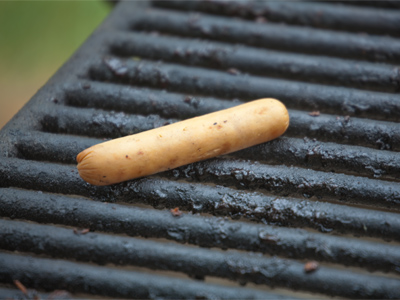 Left over from someone`s recent cookout.  People eat these, but it`s interesting that no animals have touched it.