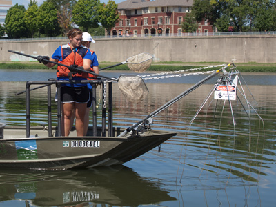 No trip to the river is complete without electrocuting fish.