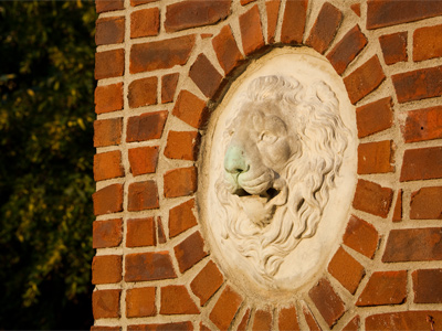 The appealing face of my neighborhood.