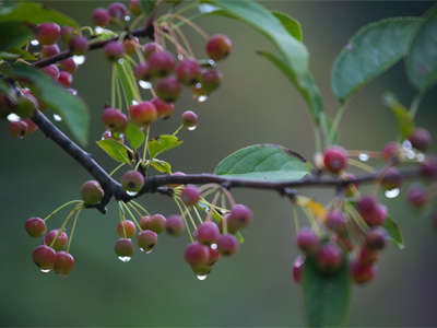 I`m still trying to get accustomed to working with my new lens, and at this point I was feeling a little disappointed.