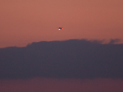 Flying in on the redeye.