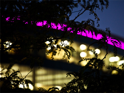 A full moon was glowing in another direction, but I`ve DONE full moons before.