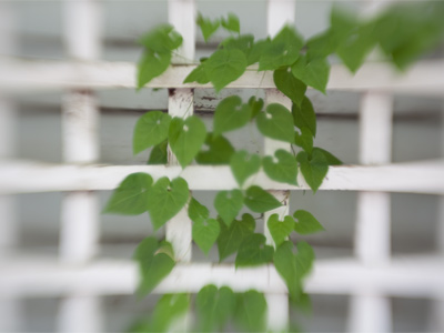 When I reach a certain level of desperation, I put on the blurry lens.