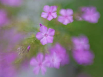 `Blur is Cool` claims the manufacturer.