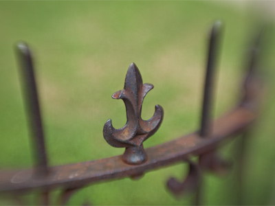 I even photographed a brick wall with this lens and it looked good (although I didn`t choose to show it here).