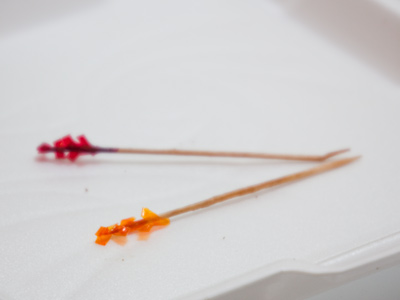 It was the first day of the semester and I worked about 13 hours.  I bought a sandwich for dinner at 9pm and nearly ate one of the toothpicks as I wolfed it down.