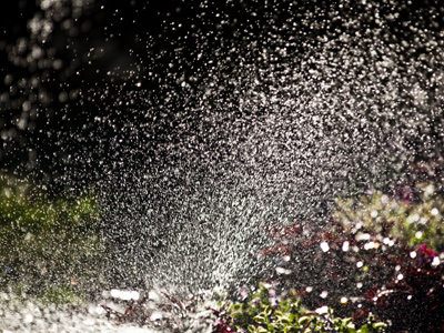 Sprinkler at sunrise.