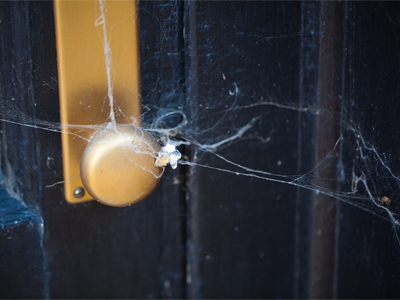 Visitors hardly ever come by.