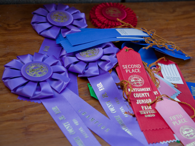 Take good care of your sheep, chickens and pigs, and all this can be yours.