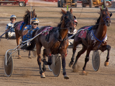 Remember the `Beverly Hillbillies` episode where Granny was in a harness race and she urged her horse to gallop?