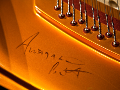 Whatever you do, don`t clean the inside of the piano!