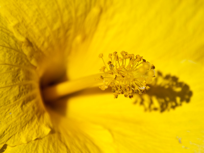 Summer tries to hang on, but late afternoon shadows shows that its time has passed.