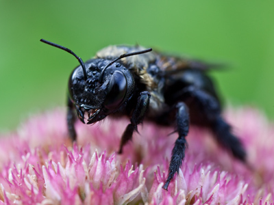 Yeah, well, he probably thinks YOU look ugly too.