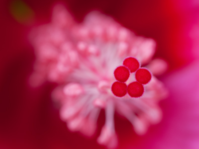 Reminds me of 1970s mod furniture.