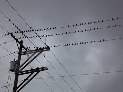 This pretty much sums up the day.