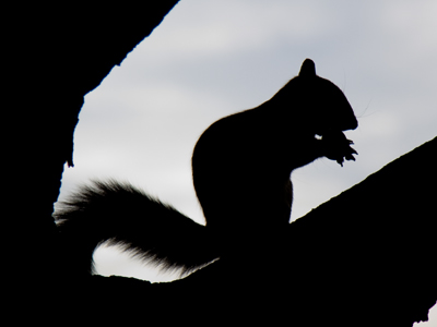 We had lunch at the same time.