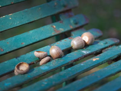 Leaves are not the only things that fall during fall.