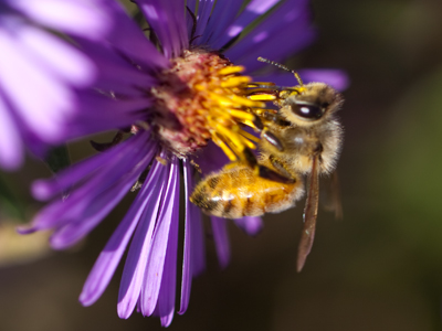 The work never ends.