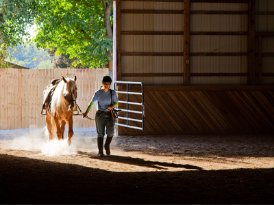 The shot of the day, due to the contrast between the sun and the dark interior, and the dust Spartacus kicked up.
