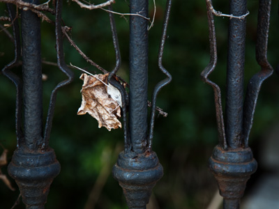 The truth about fall.