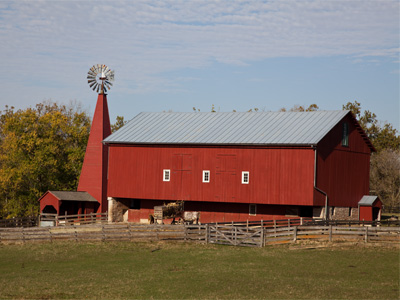 With my hay fever, this is as close as I ought to get.