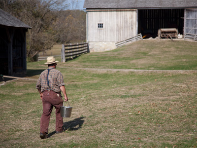 The pail was full of fresh milk, still bubbly.