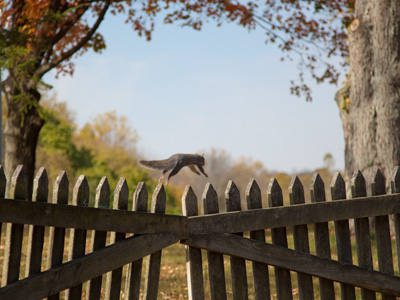 This makes up for some of the near misses I`ve had over the years.