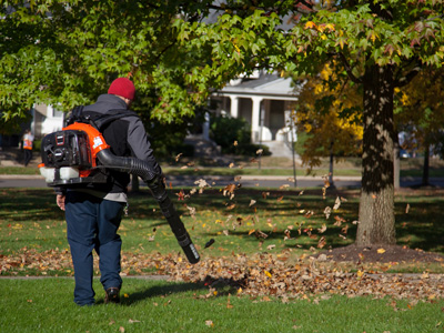 Groundskeeper working hard.